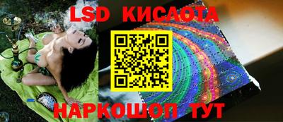 скорость Кингисепп