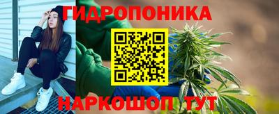 скорость Кингисепп