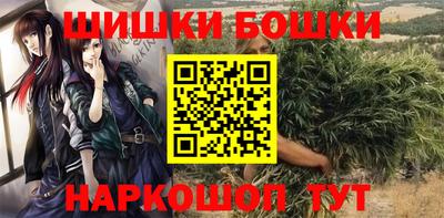 скорость Кингисепп