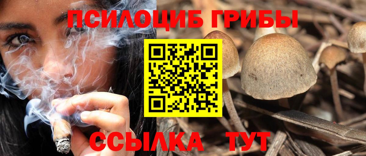 Галлюциногенные грибы Magic Shrooms  Псилоцибиновые грибы Magic Shrooms  Коркино  Вход с VPN 